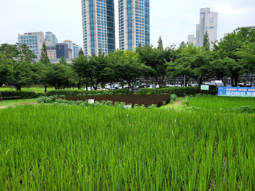 KakaoTalk_20220723_193416662_09.jpg