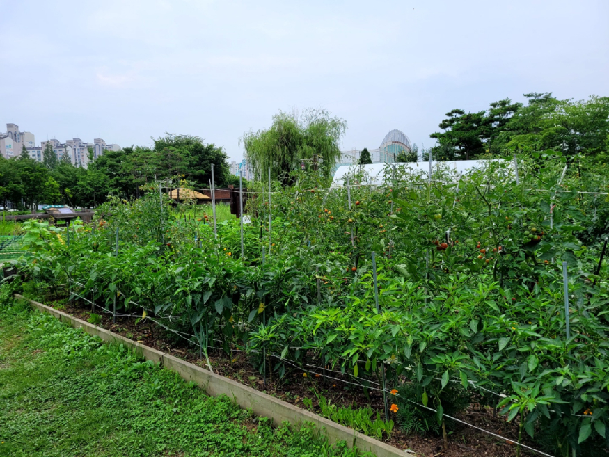 KakaoTalk_20220723_193416662_20.jpg