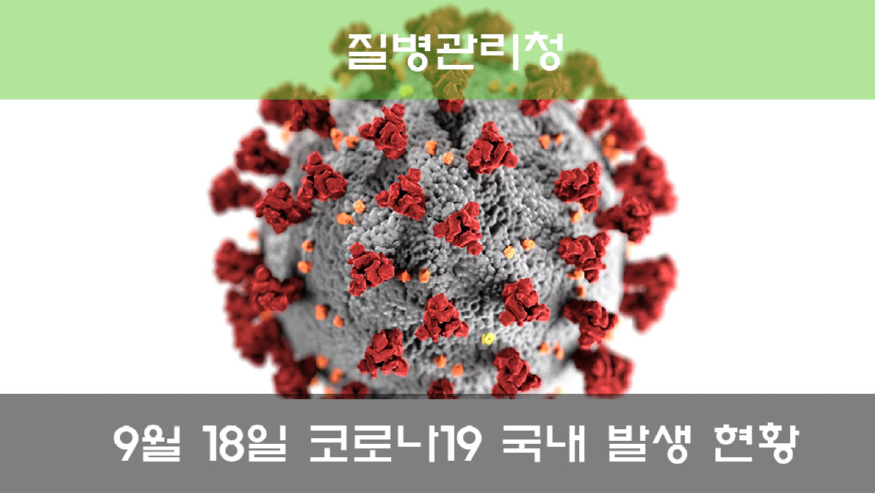 pexels-cdc-코로나현황.jpg