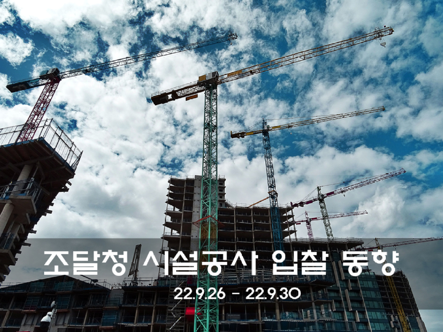 작은것 - pexels-sevenstorm-juhaszimrus-439416.jpg