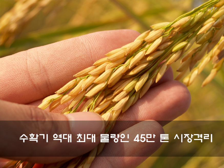 작은것 - pexels-pixabay-164504.jpg