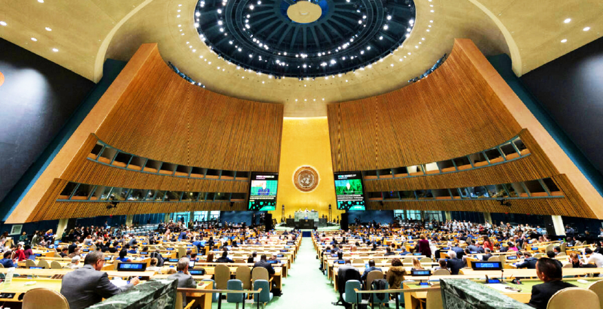 11un.jpg