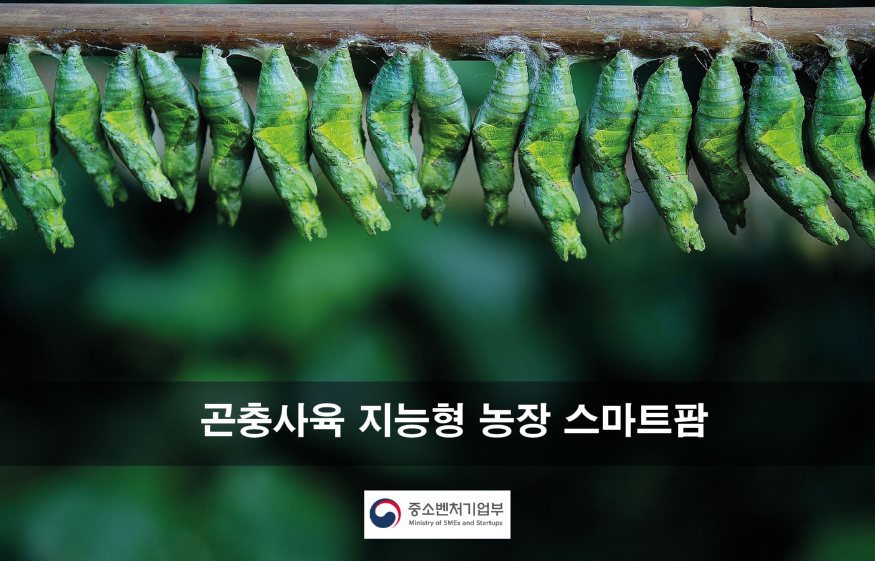스마트팜.jpg
