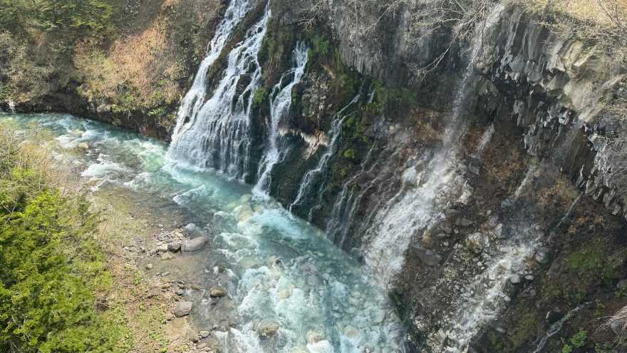IMG_3382 2.jpeg