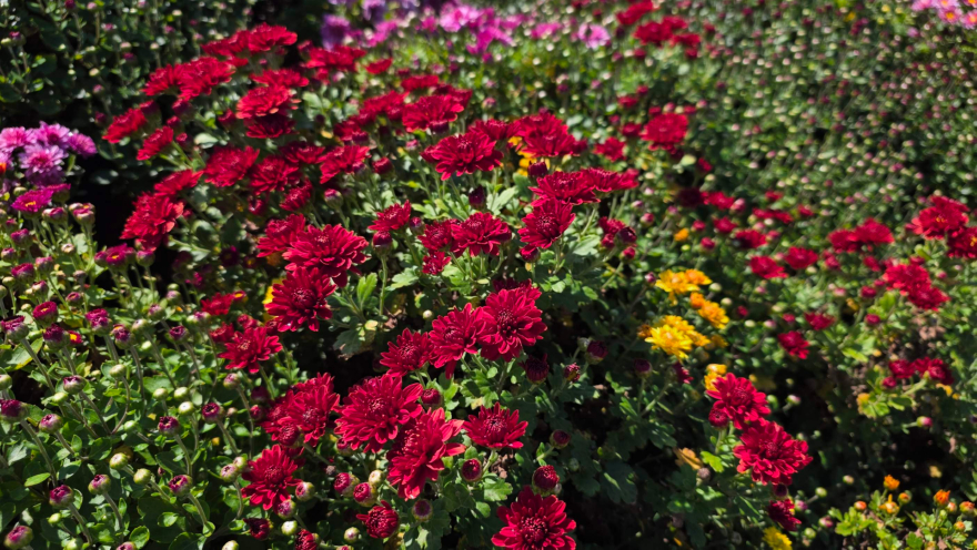 KakaoTalk_20261010_125611543_03.jpg