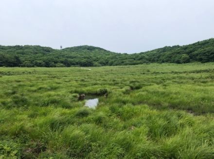 북부지방산림청, 산림유전자원보호구역 539ha 확대 지정