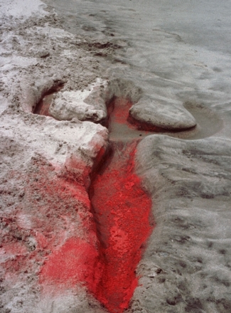 불꽃과 흙, 그리고 기억의 흔적… 아나 멘디에타(Ana Mendieta)​가 다시 우리 앞에 서다