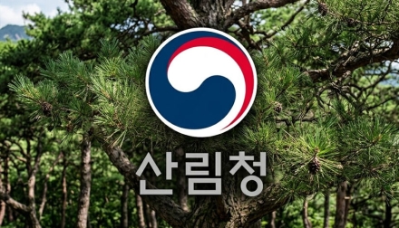 박은식 산림청장 "소나무 미래, 국민과 함께 결정"…기후 적응 관리방안 정책 반영