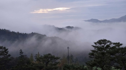 산이 많은 나라, 산을 그린 사람들…가평의 운해에서 만난 조선의 산수화
