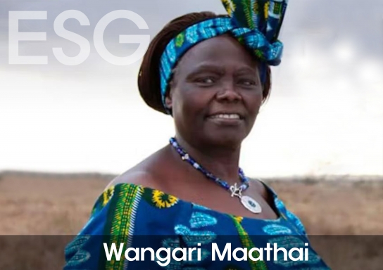 [ESG 사람들 ④] 왕가리 마타이(Wangari Muta Maathai)