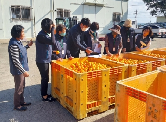 서귀포시, 명예환경감시원 다양한 활동 실시 중