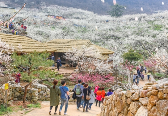 광양시, ‘2023 주목해야 할 인기 여행지 탑 10’ 포함