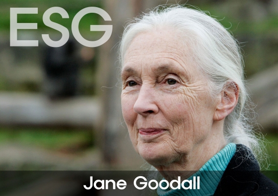 [ESG 사람들 ⑧] 영국의 환경운동가 제인 구달(Jane Morris Goodall)
