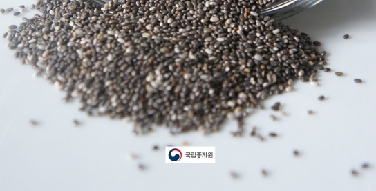 종자의 안전보관 및 연구를 위한 협력 증진