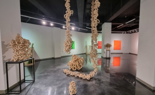 대구 서구, 현대미술'들여다 봄'展