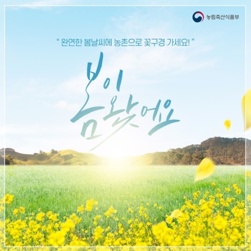 농림축산식품부,꽃 구경 하기 좋은 농촌 봄꽃 명소 19곳 소개