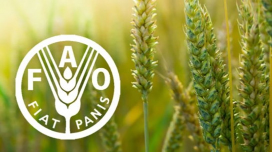 유엔 식량농업기구(FAO), 3월 세계식량가격지수 전월 대비 2.1% 하락