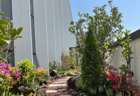 서귀포시 기후환경과, 다양한 탄소중립 시책