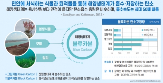 해양수산부, 블루카본 추진전략 발표