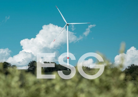지속 가능한 사회를 위한 ESG 경영의 평가항목 알아보기