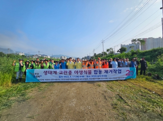 포천시, 환경단체와 함께 생태계교란 야생식물 제거작업