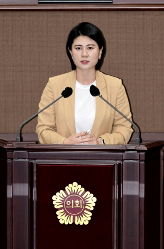 서울시 안전 대책, 10년 전이나 지금이나 재탕·삼탕