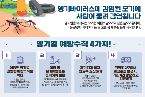 방글라데시 방문한 우리 국민 뎅기열로 사망, 뎅기열 유행지역 방문 시 예방수칙