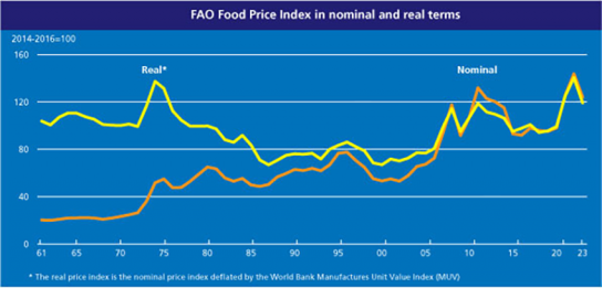 식량농업기구(FAO) 세계식량가격지수 전월 대비 1.5% 하락