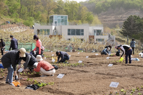 중랑구, 중랑행복농장 텃밭·봉화산자연체험공원 배나무 분양