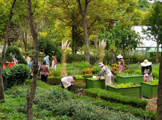 산림청, 정원활동 치유효과 검증… 정신건강 회복에 효과적