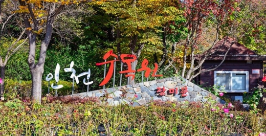 숲에서 놀며 자연과 친해져요…인천시, 산림복지 프로그램 운영