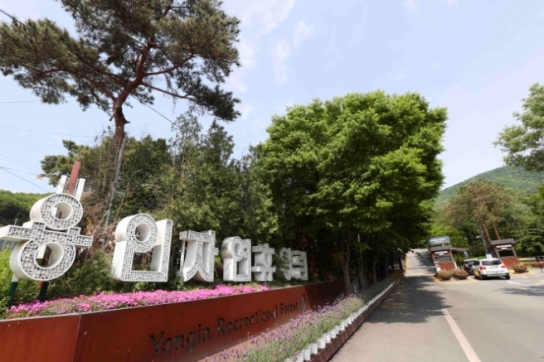 용인특례시, 올해 7억여 원 투입해 '용인자연휴양림' 노후 시설 개선