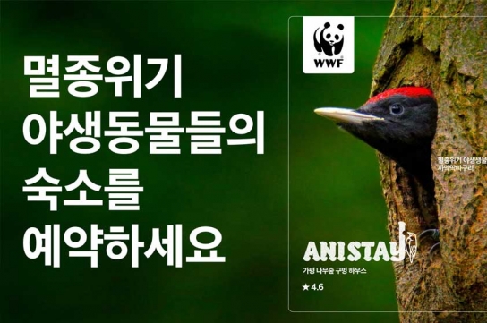 WWF, 국내 멸종위기 동물 서식지 보전위한 ‘애니스테이’ 캠페인 실시