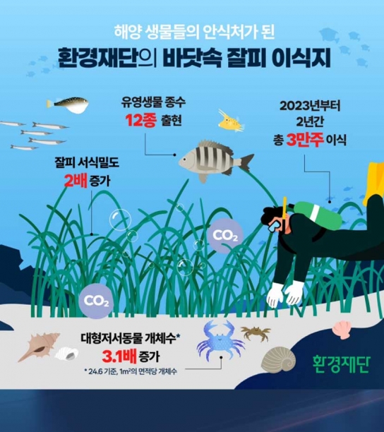 환경재단, 탄소흡수원 ‘잘피숲’... 해양 생태계 복원의 핵심 역할